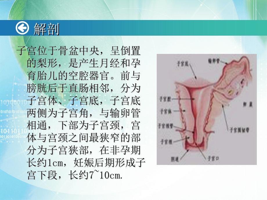 手术室月查房课件.ppt_第3页