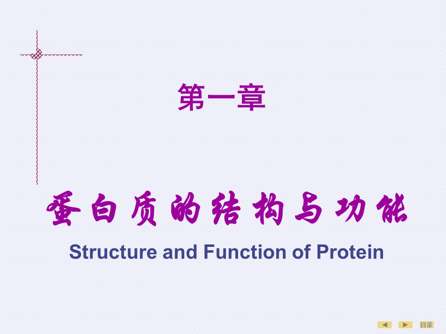 生化蛋白质的结构与功能课件.ppt_第2页