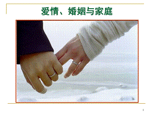 爱情婚姻与家庭课件.ppt