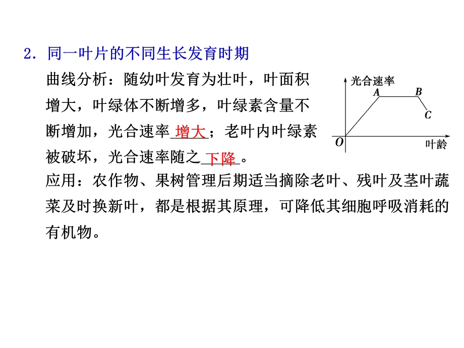 影响光合作用的因素课件.ppt_第3页