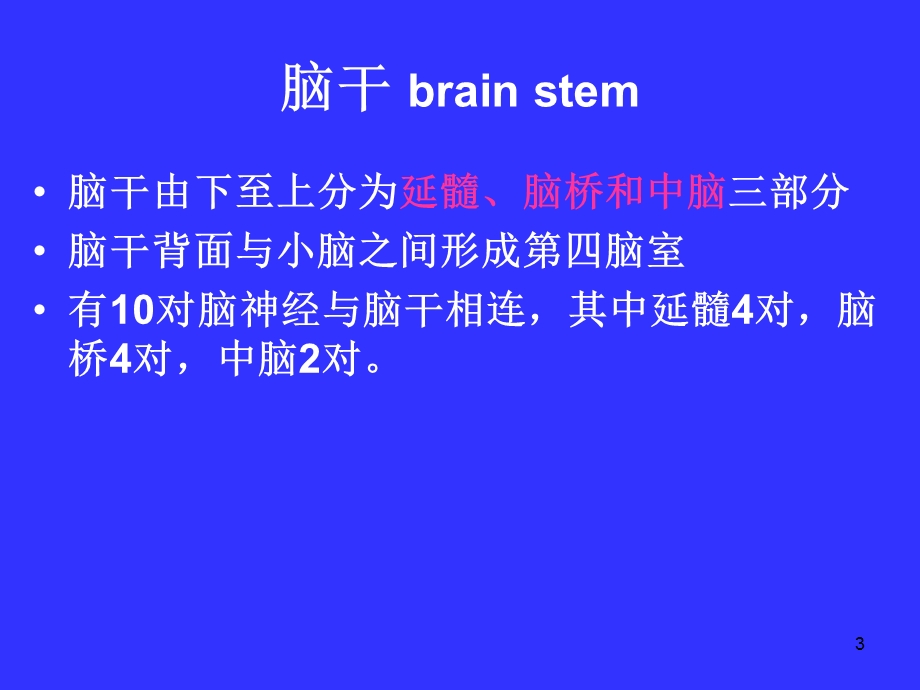 脑神经系统解剖学课件.ppt_第3页