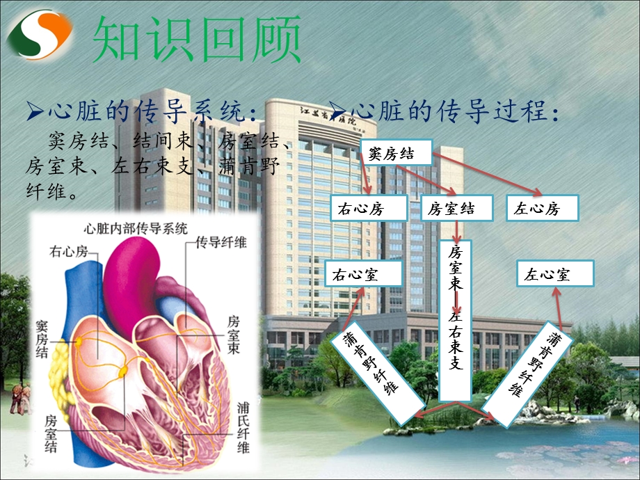 室上速护理查房课件.ppt_第3页