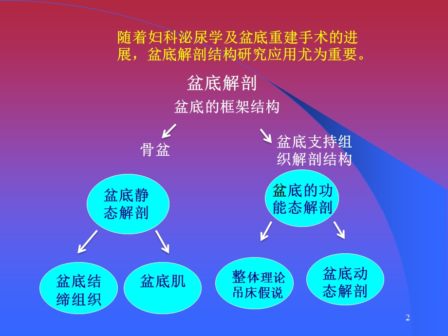 盆底重建的应用解剖课件.ppt_第2页