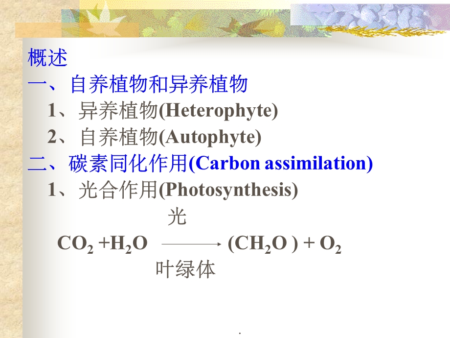 植物光合作用大学课件.ppt_第3页