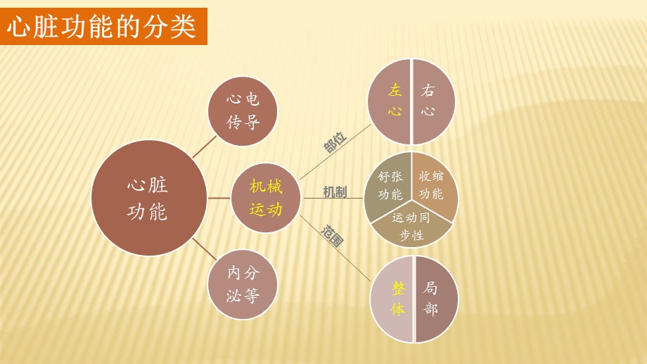 心功能测量课件.pptx_第2页