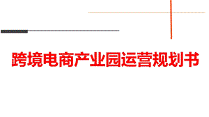 跨境电商产业园运营规划书课件ppt.ppt