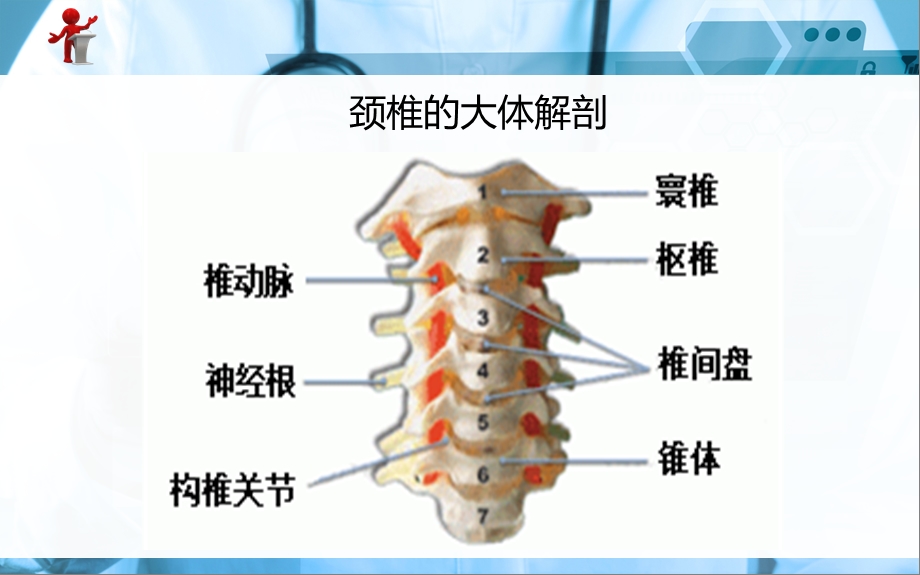 外科护理颈肩痛与腰腿痛病人的护理课件.ppt_第3页