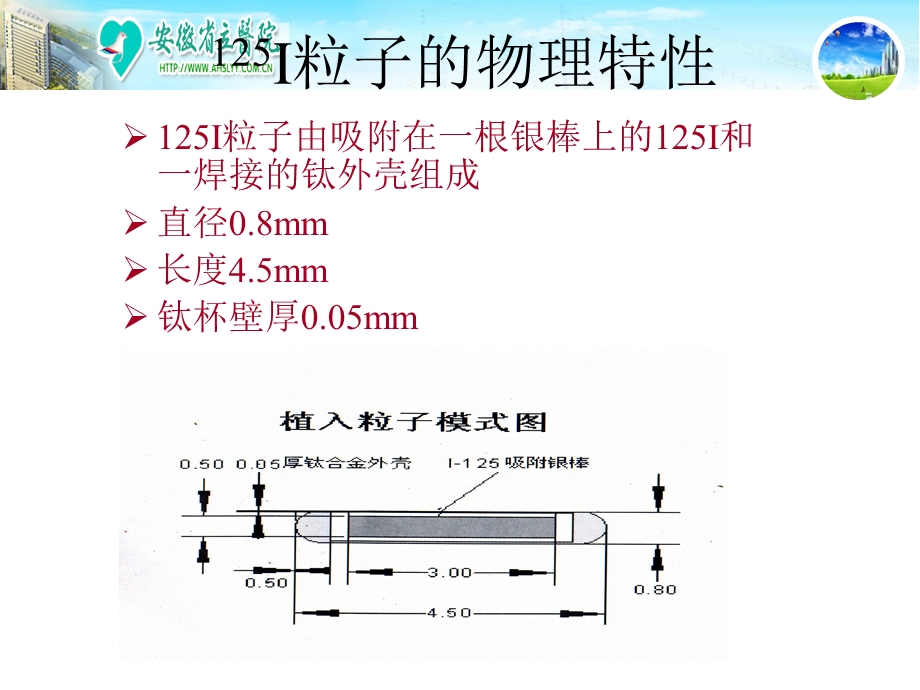 碘粒子防护课件.ppt_第3页