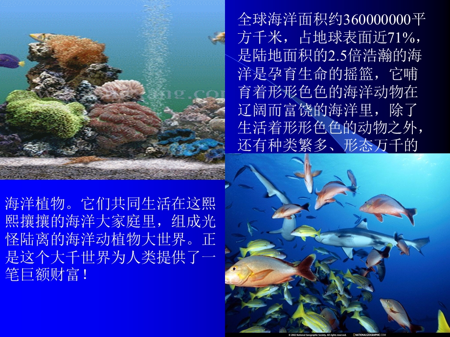 海洋—巨大的资源宝库课件.ppt_第2页