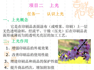 常见的涂布方式课件.ppt