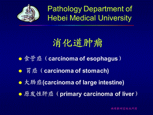 消化系统常见肿瘤课件.ppt