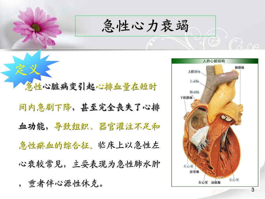 急性心力衰竭的观察与护理课件.ppt_第3页