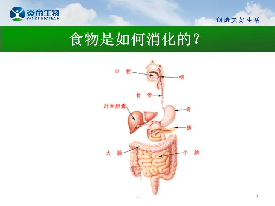 肠道排毒课件.pptx_第3页