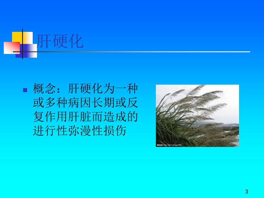 肝硬化的护理常规课件.ppt_第3页