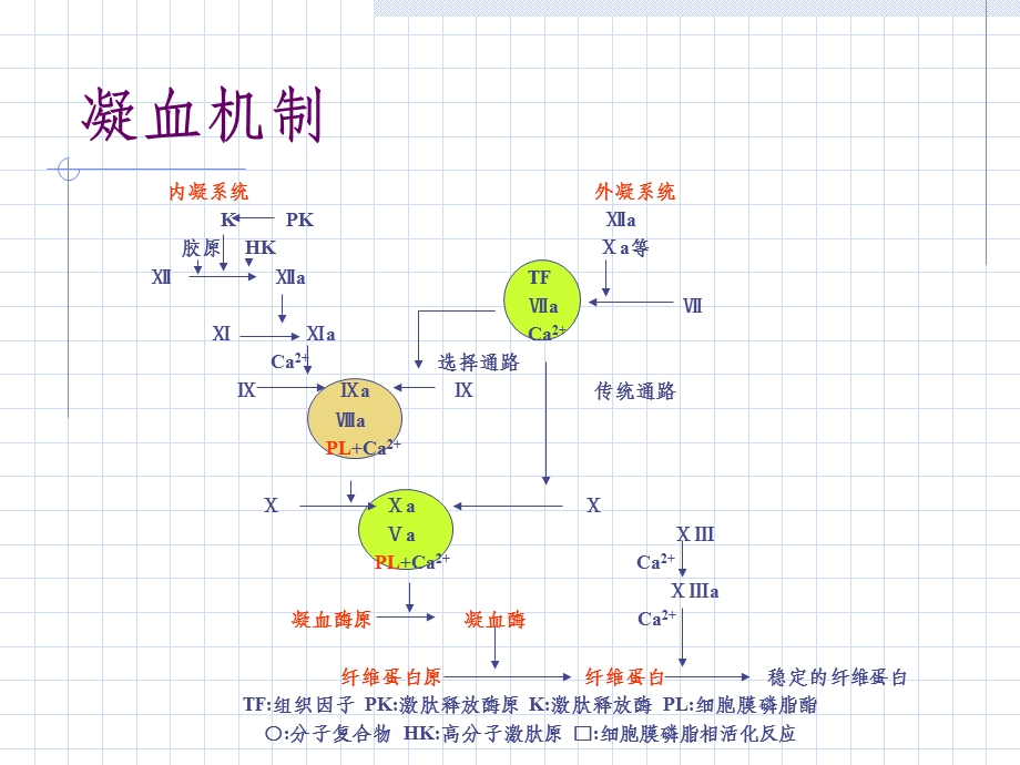 心脏外科抗凝治疗课件.ppt_第3页