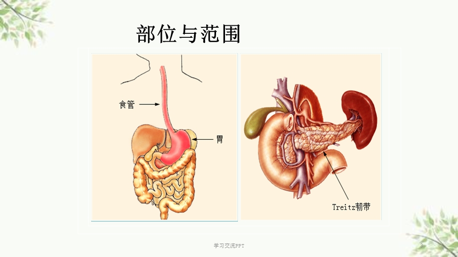 消化道出血的护理要点课件.ppt_第3页