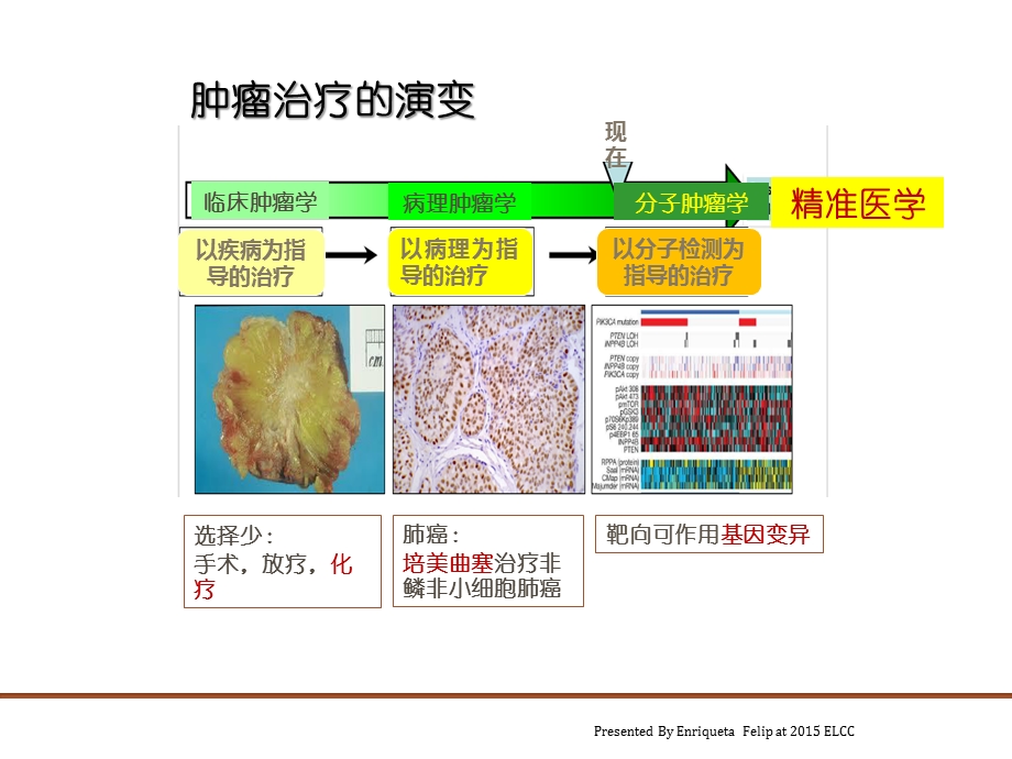 肺癌化疗进展演示ppt课件.pptx_第3页