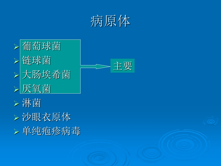 妇产科精品ppt课件妇科炎症妊娠合并性传播疾病.ppt_第3页