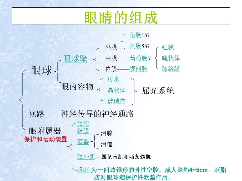 巩膜炎护理查房演示PPT课件.ppt_第3页