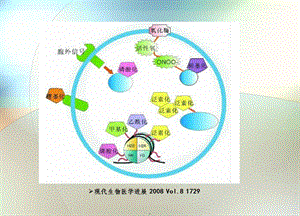 蛋白质翻译后修饰课件.ppt