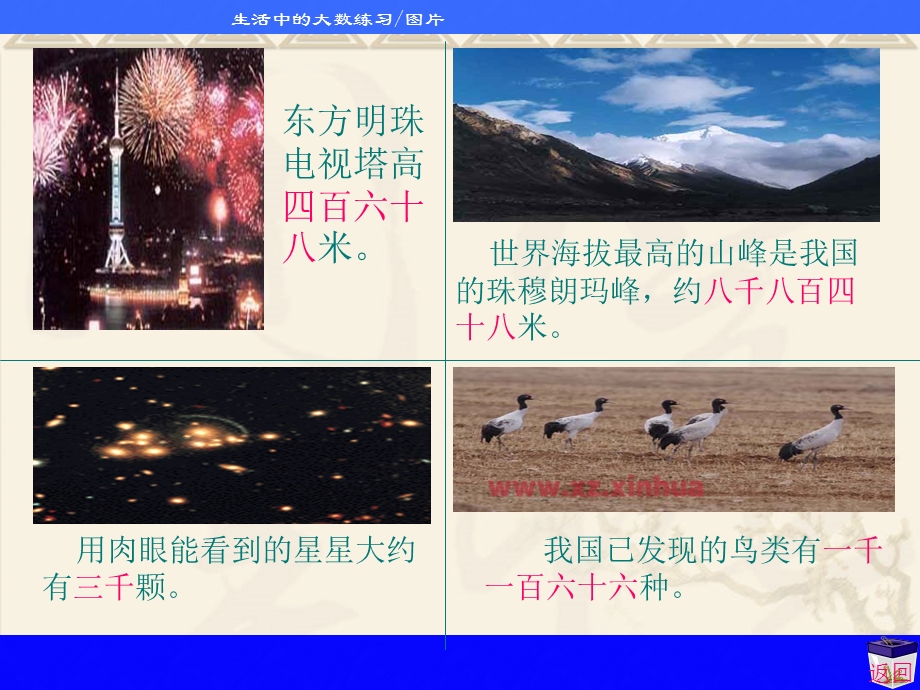 生活中的大数数一数课件.ppt_第2页