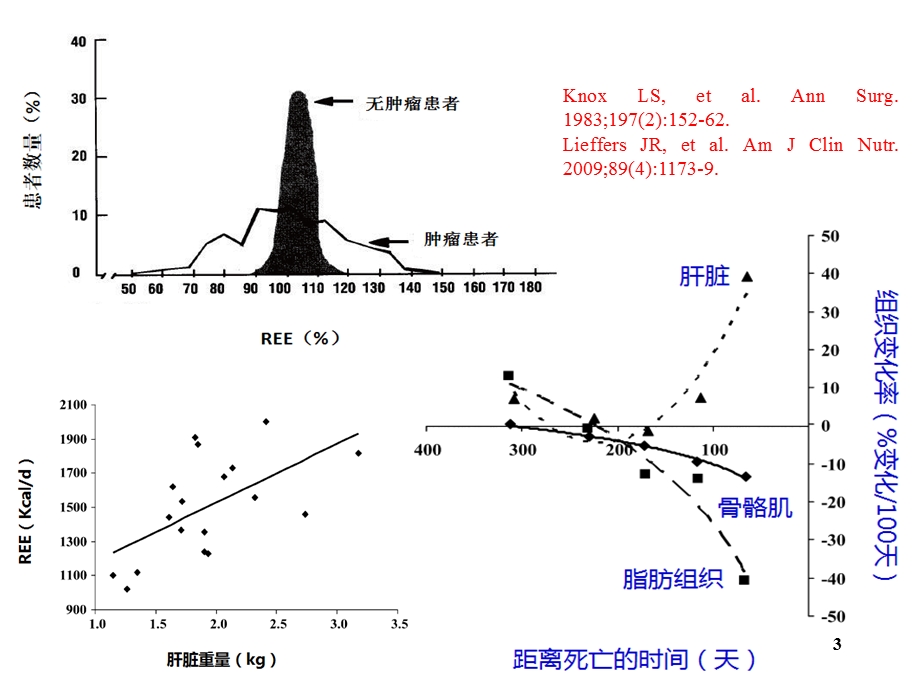 肿瘤代谢调节疗法课件.ppt_第3页