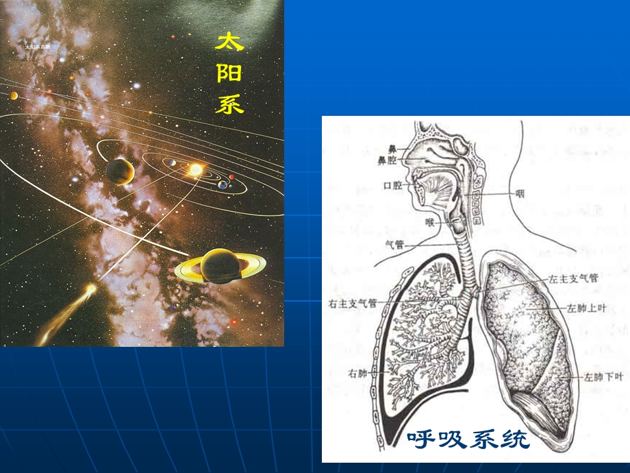 系统与设计ppt课件.ppt_第3页