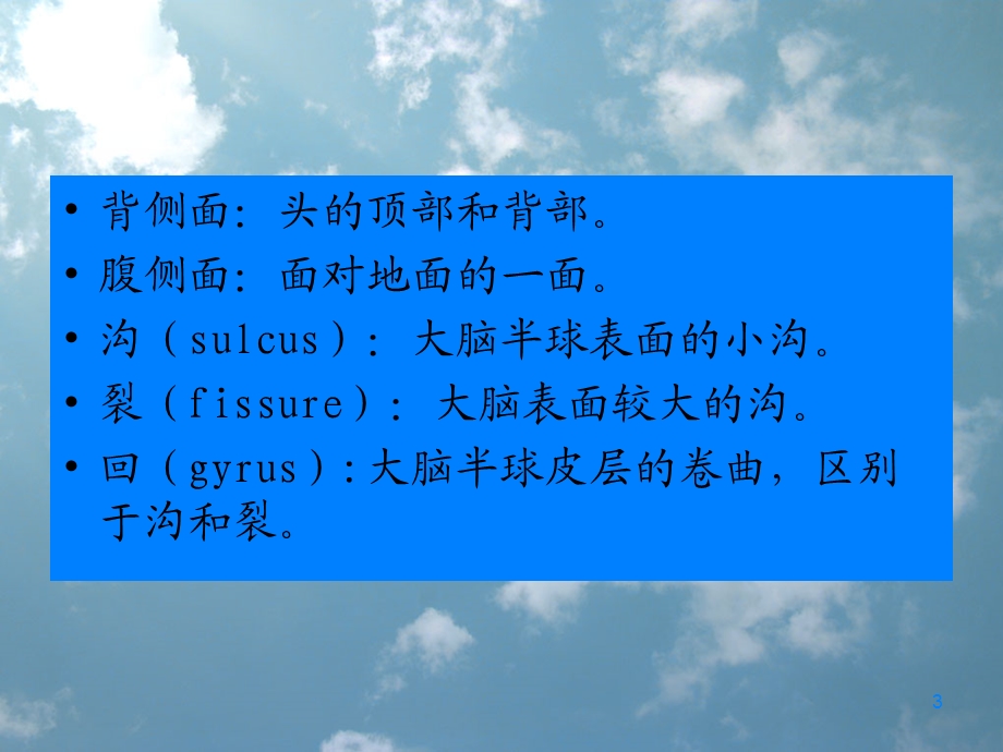 神经元和脑课件.ppt_第3页