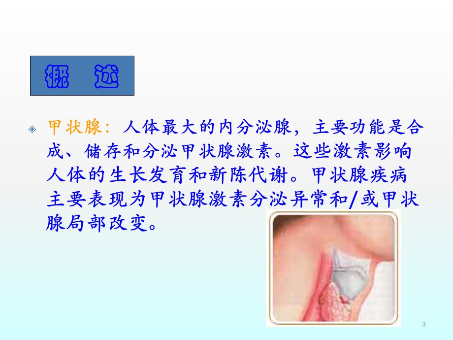 甲状腺的生理功能课件.ppt_第3页