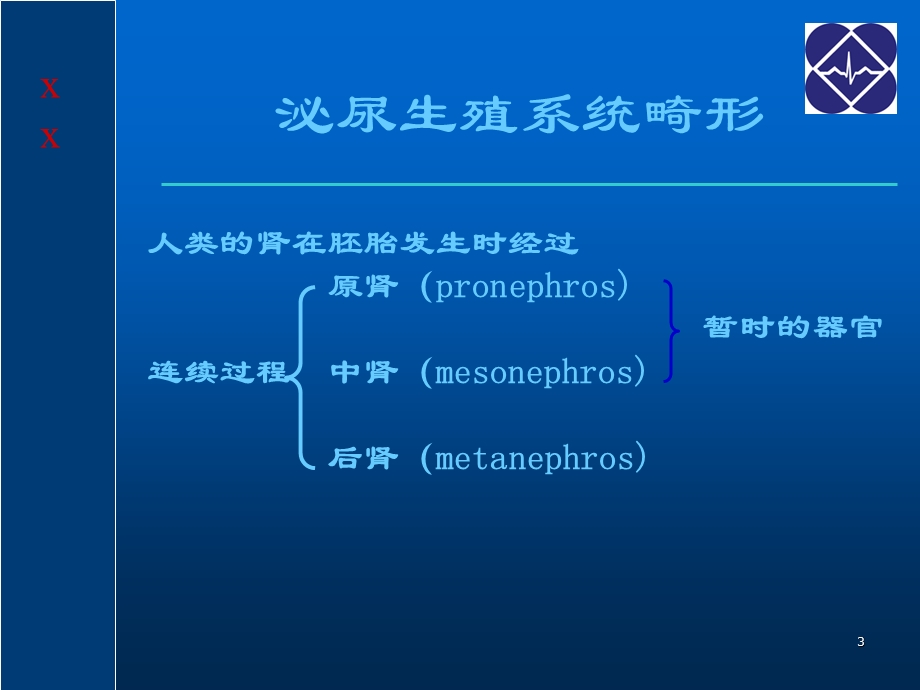 泌尿生殖系统畸形课件.ppt_第3页