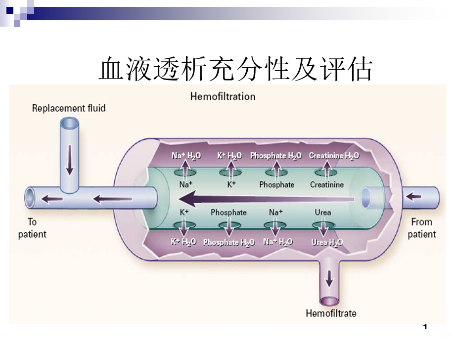 血液透析充分性课件.ppt_第1页