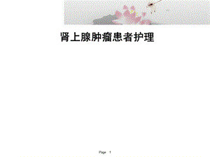 肾上腺肿瘤患者护理课件.ppt