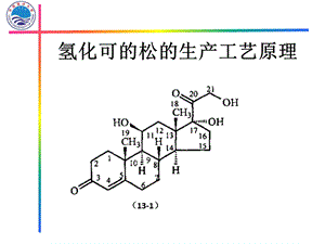 氢化可的松的工业生产工艺课件.pptx