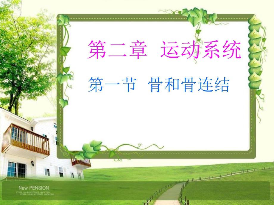 第一节骨和骨连结课件.ppt_第1页