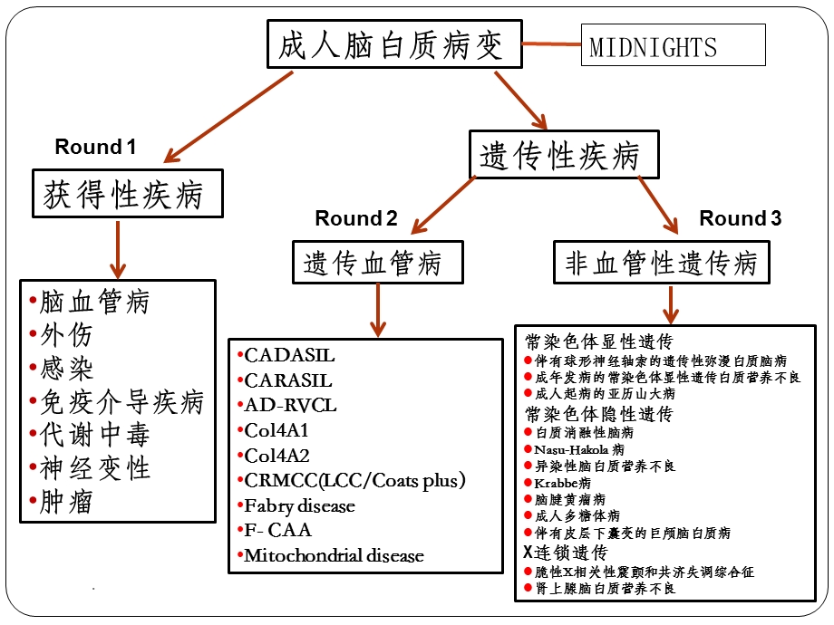 脑白质病的诊断课件.ppt_第2页