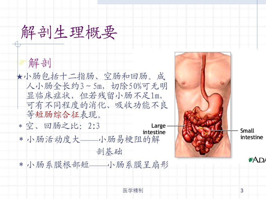 肠梗阻分型及常见病因课件.ppt_第3页