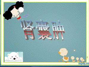 肾囊肿课件.ppt