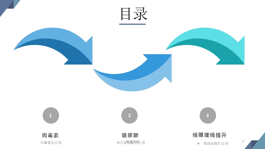 微整形全面注解：肉毒素、玻尿酸、面部线雕课件.ppt_第2页