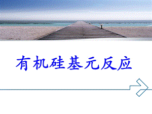 有机硅化学反应课件.ppt