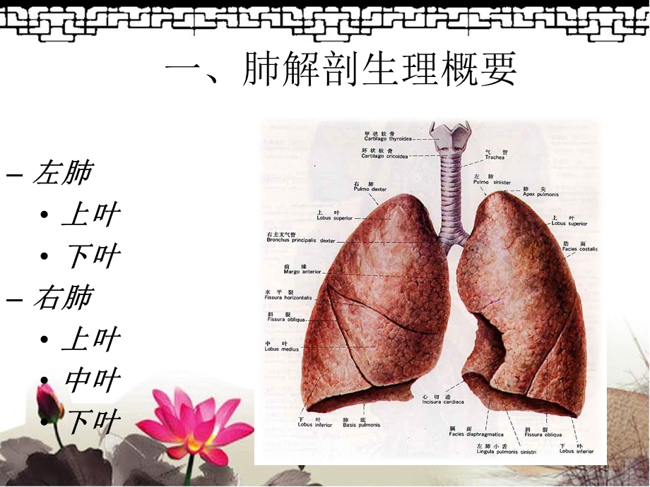 肺癌伴脑转移护理查房课件.ppt_第2页