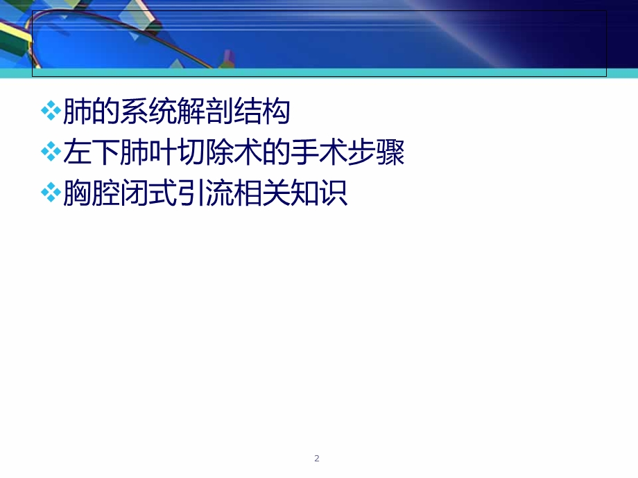 肺叶切除术课件.ppt_第2页