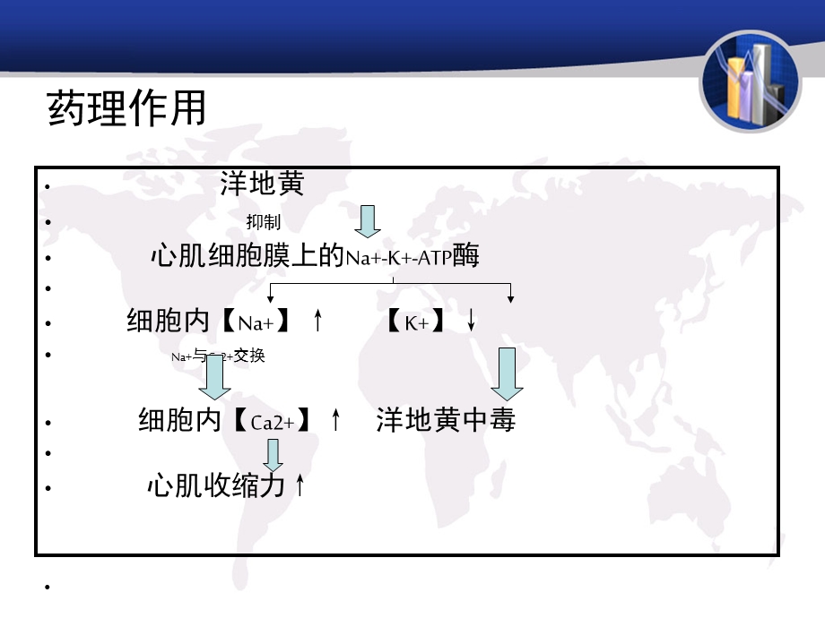 洋地黄课件.ppt_第3页