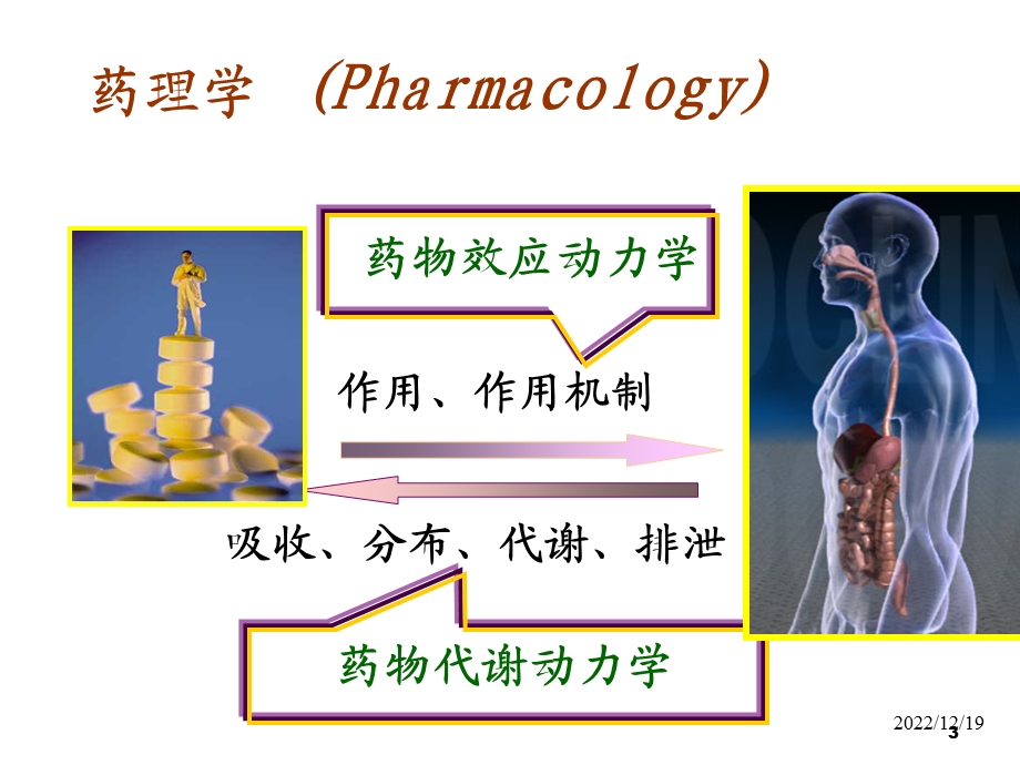 药理学药效学课件.ppt_第3页