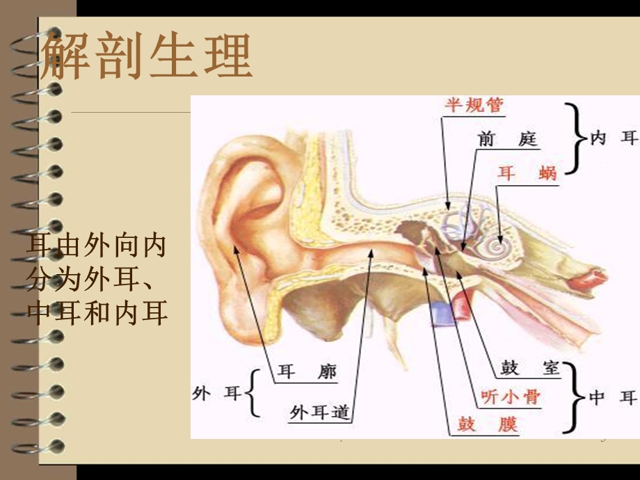 慢性中耳炎课件.ppt_第3页