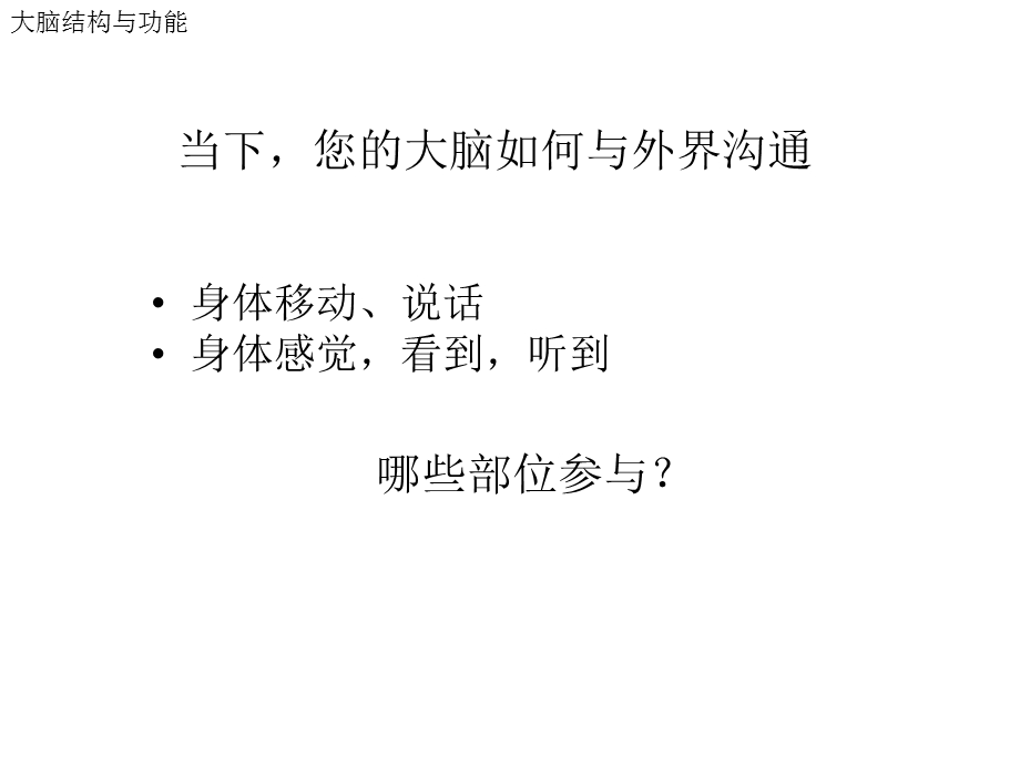 神经系统发育及感觉统合课件.ppt_第3页