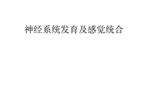 神经系统发育及感觉统合课件.ppt