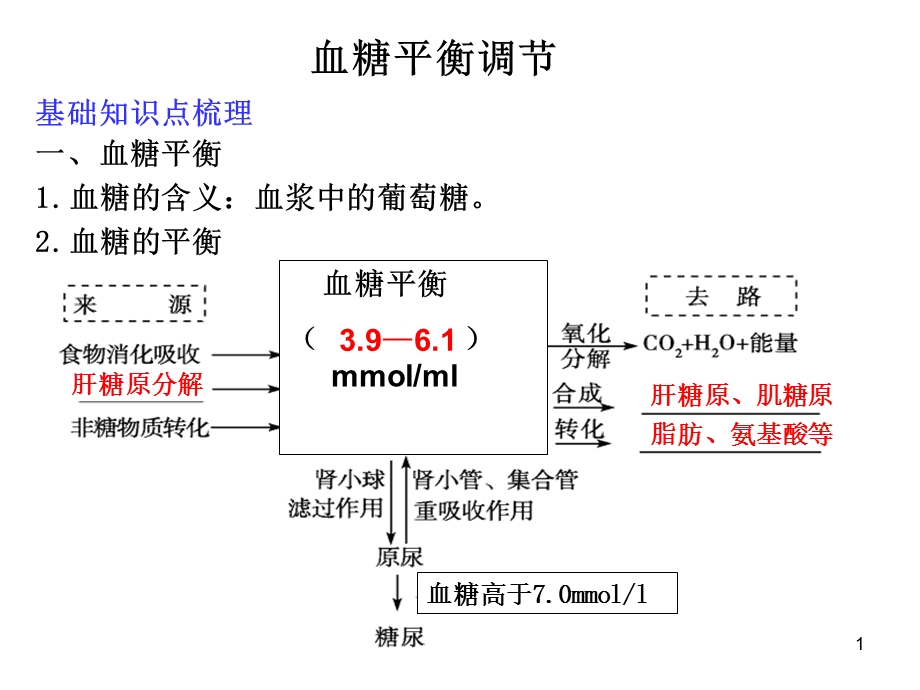 血糖调节资料课件.ppt_第1页