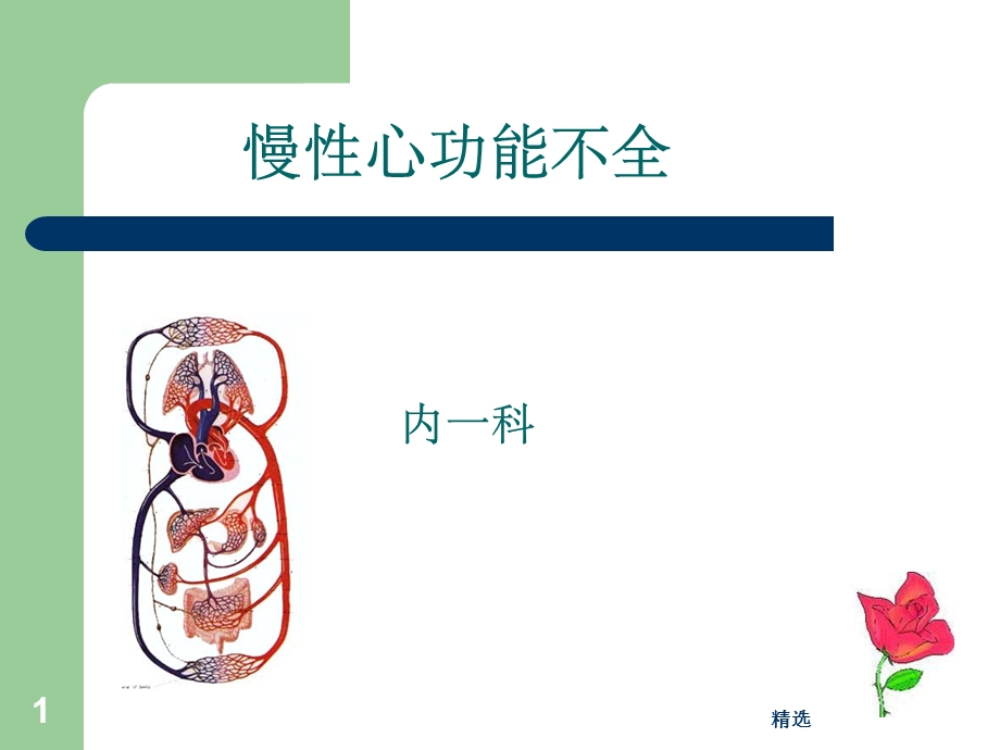 慢性心功能不全课件.ppt_第1页