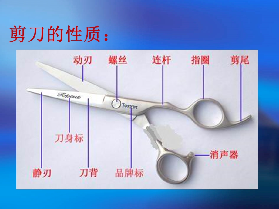 美发工具的认识课件.ppt_第3页