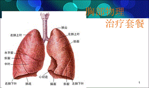 胸部物理治疗课件.ppt